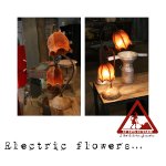 Electric flowers...